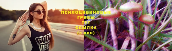 не бодяженный Нефтекумск