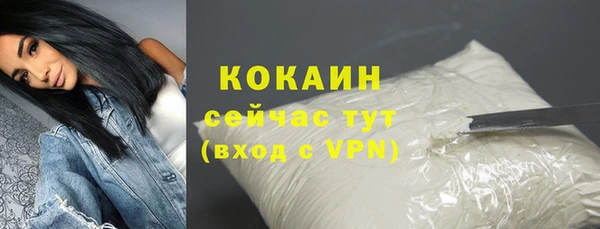 молекула духа Надым