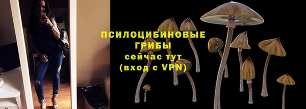 дурь Навашино
