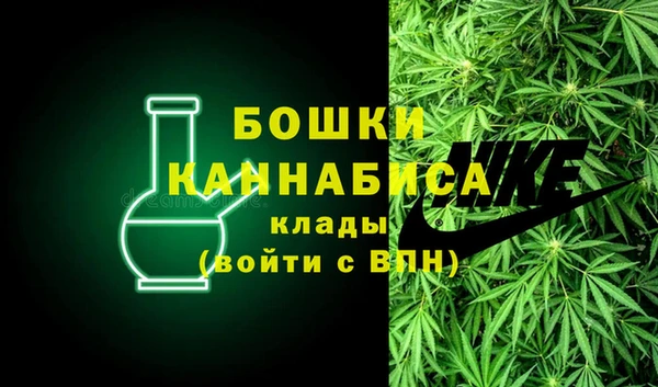 прущая мука Нея
