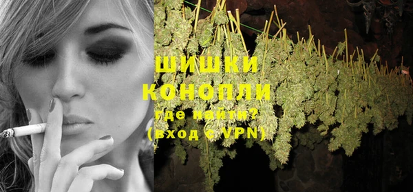 молекула духа Надым