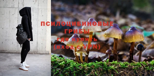 молекула духа Надым
