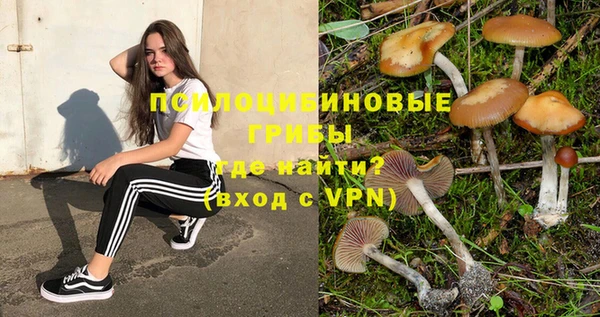 дурь Нефтегорск
