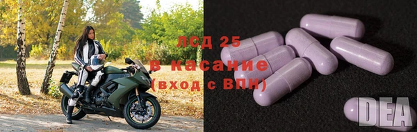 молекула духа Надым