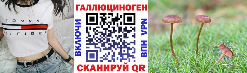 Галлюциногенные грибы MAGIC MUSHROOMS  Миньяр 